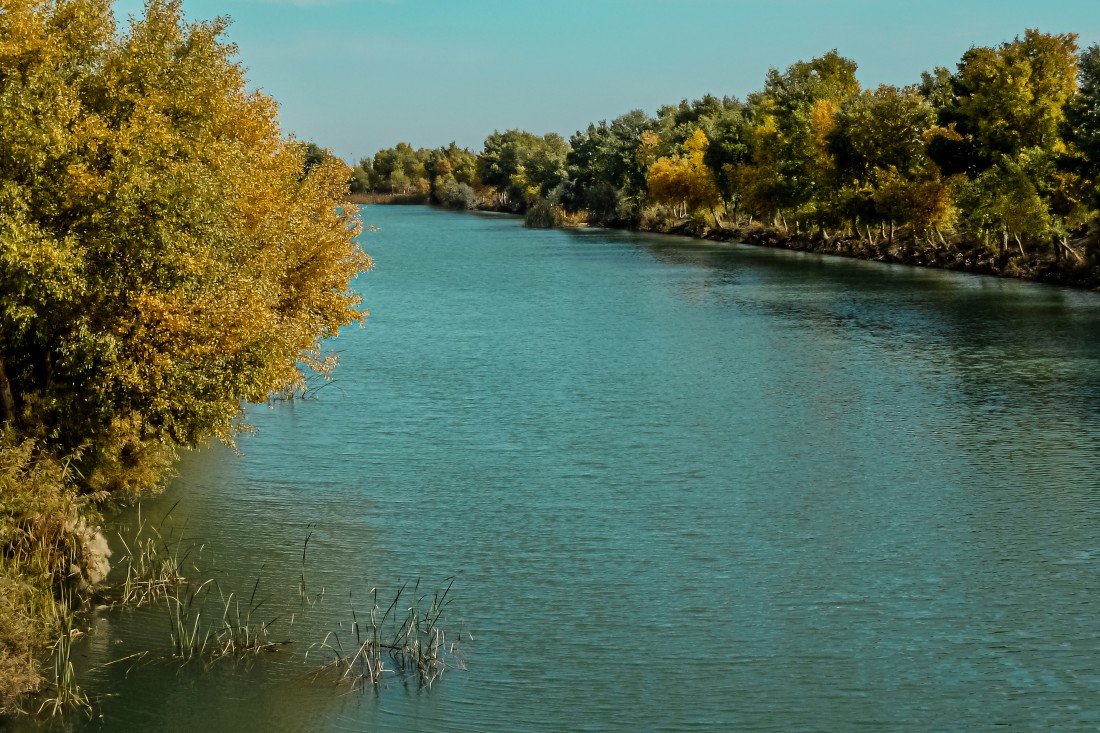 Rus uyqu jinsiy aloqa